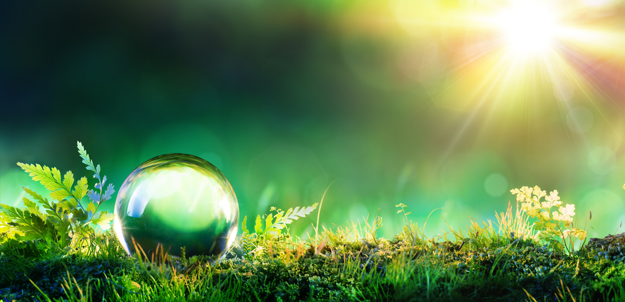 to CPPC Vietnam Factory in garment fieldCPPC VietNam